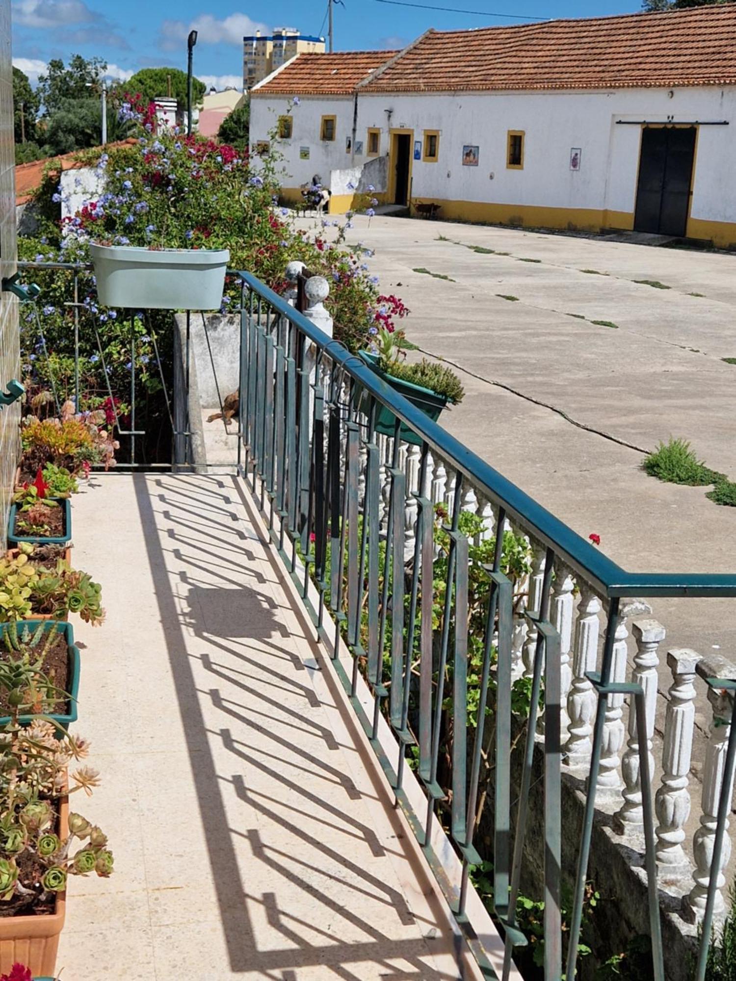 Horse Riding Country House Vila Franca de Xira Exterior photo